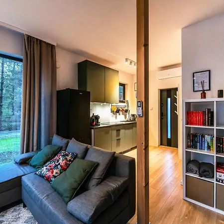 Heban Forest Cabin&Sauna Starlink Tomczyn Esterno foto