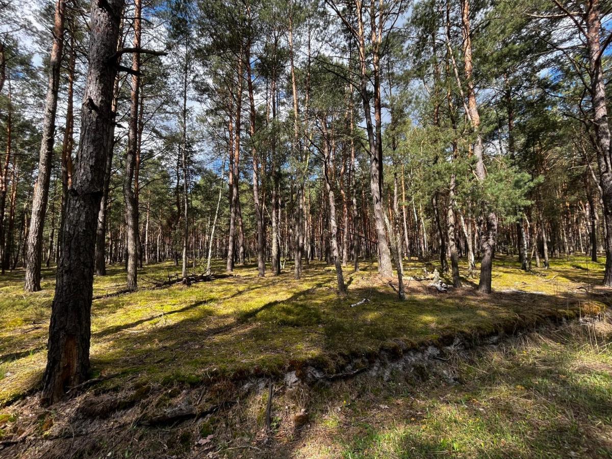 Heban Forest Cabin&sauna Starlink Holiday home *